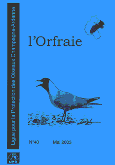 orfraie40