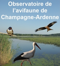 titre observatoire 125