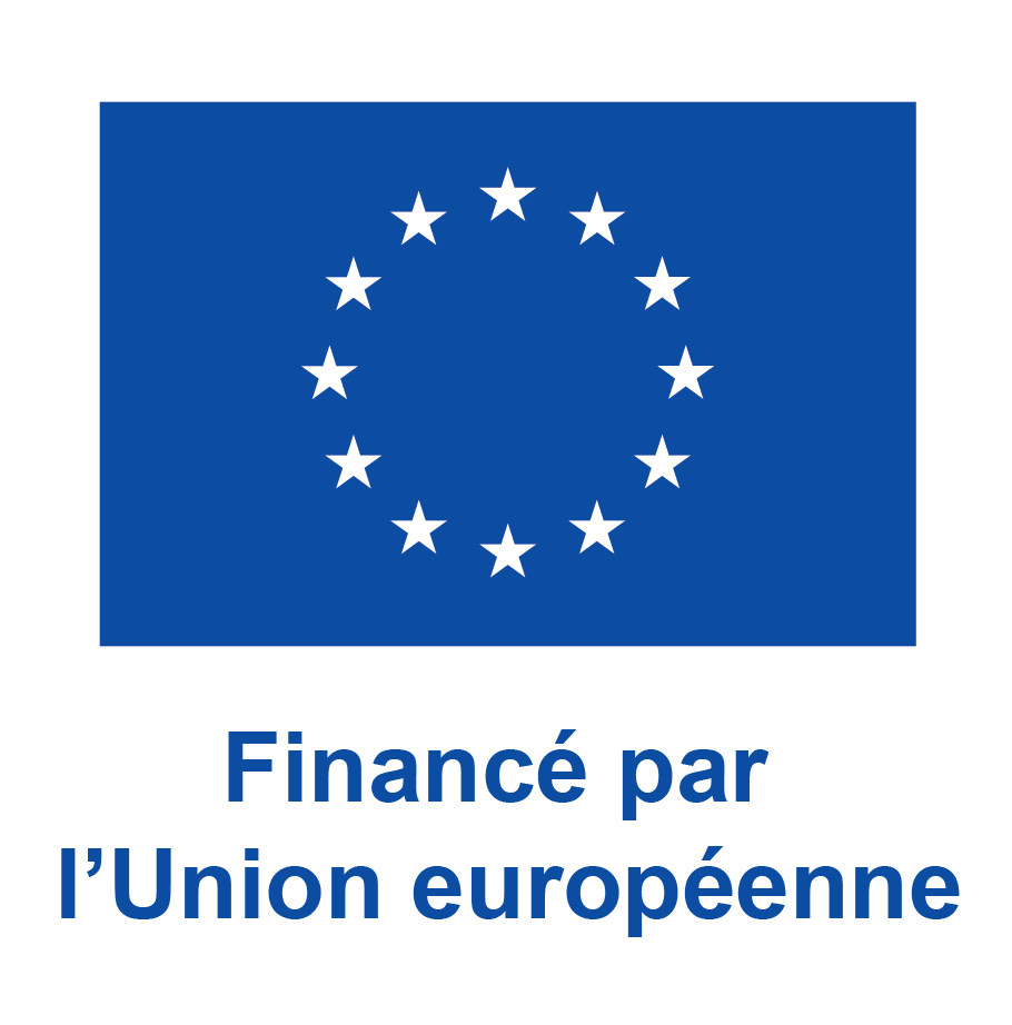 fr v financé par lunion européenne pantone