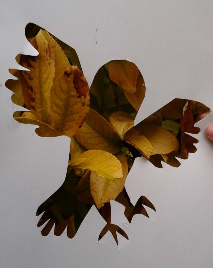 Animation Land Art - Océane Dauteuille 20160201 103355