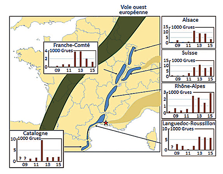 east and south france migration map