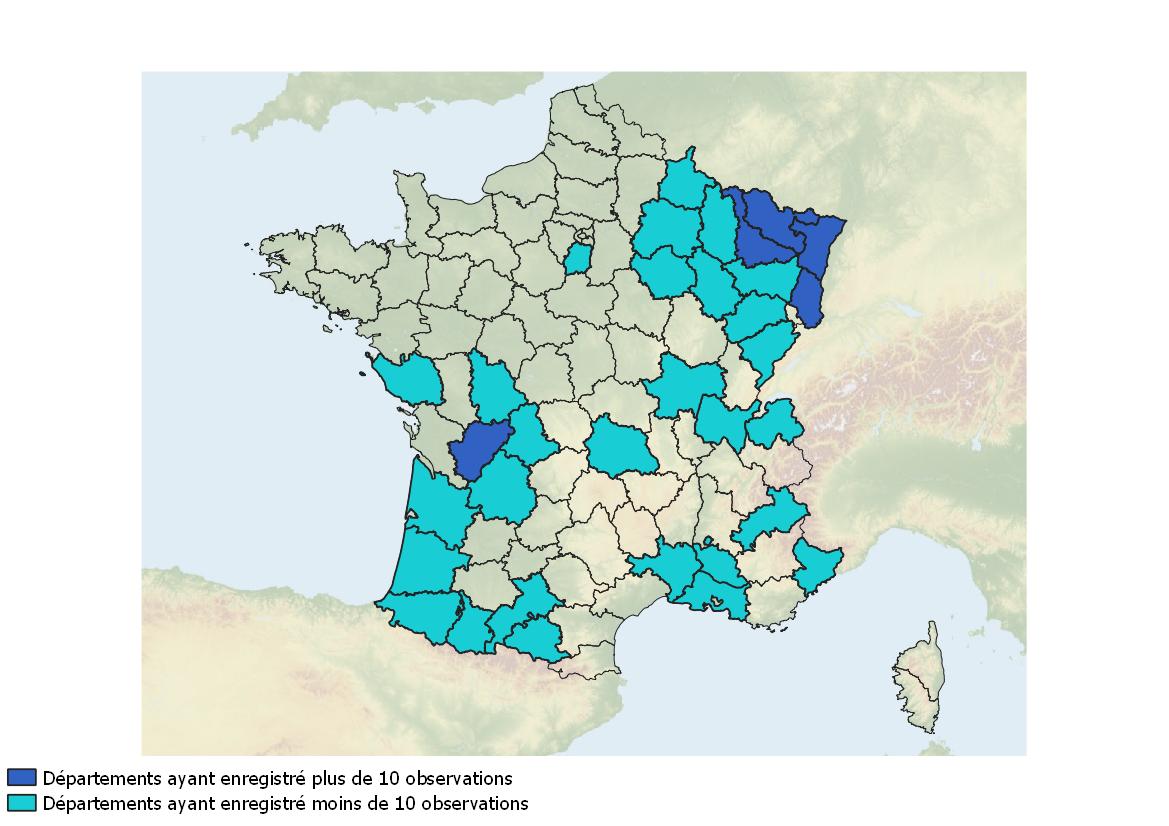 carte 19 10 2026 jpeg