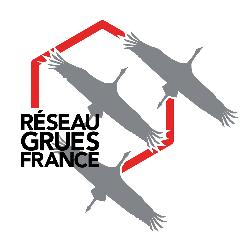 Logo Réseau grues