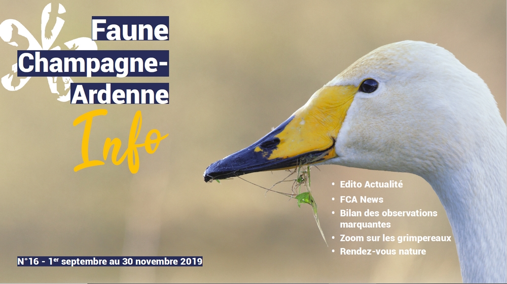 Couverture de Faune Champagne-Ardenne Info n°16
