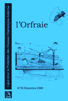 orfraie 38