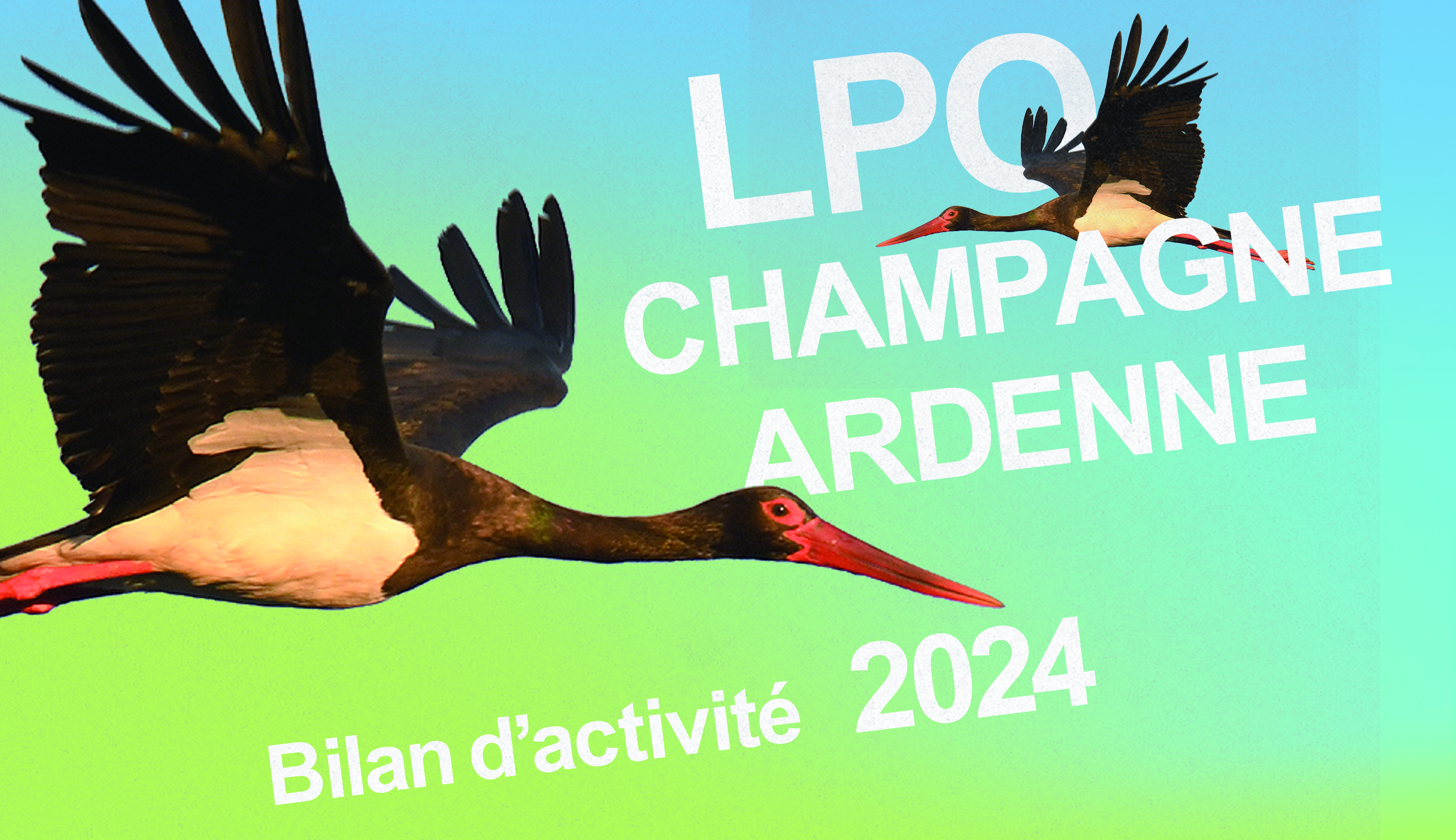 bilan activite 2024