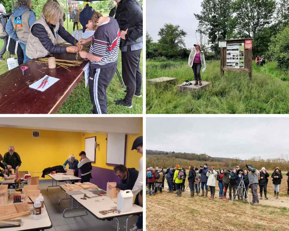 montage photos gl epernay