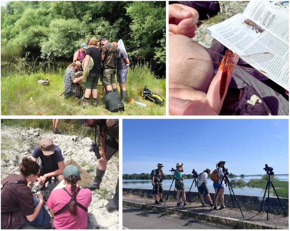montage photos groupe jeunes lpo