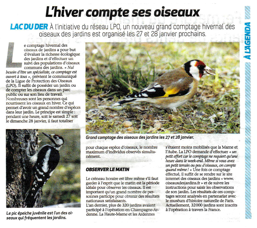 20180126voix de la h marne