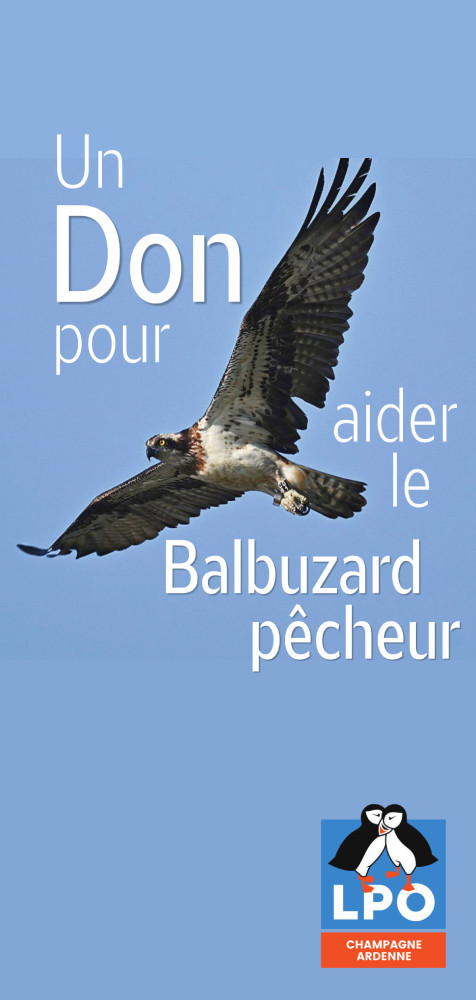 flyer appel a dons p1 2026