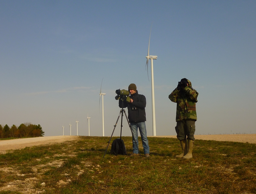 Suivi éolien (Anne-Sophie Gadot)