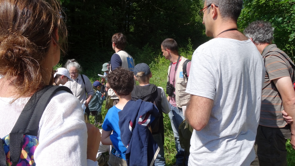 Inventaire participatif (Josianne Redont)