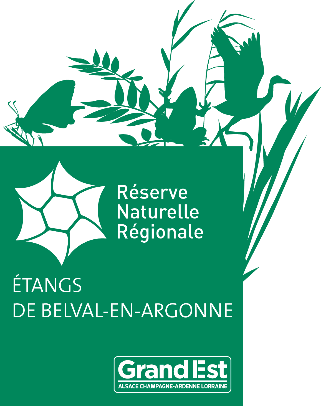 2024 logo rnr belval