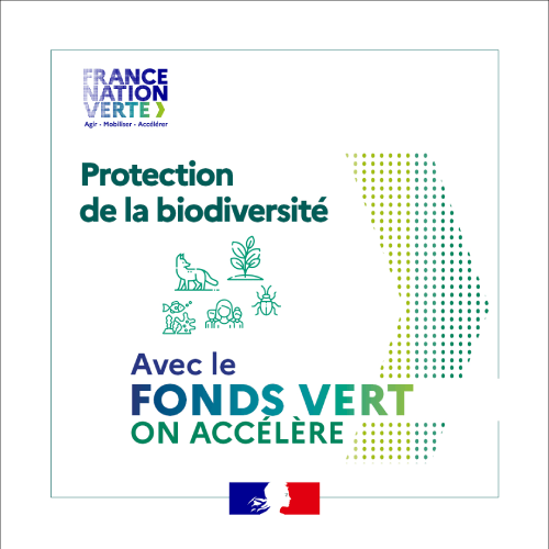 logo fond vert 2026