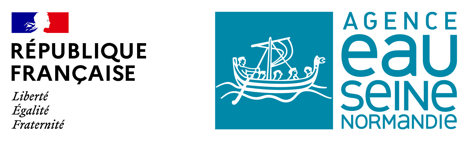 logo rf aesn rvb