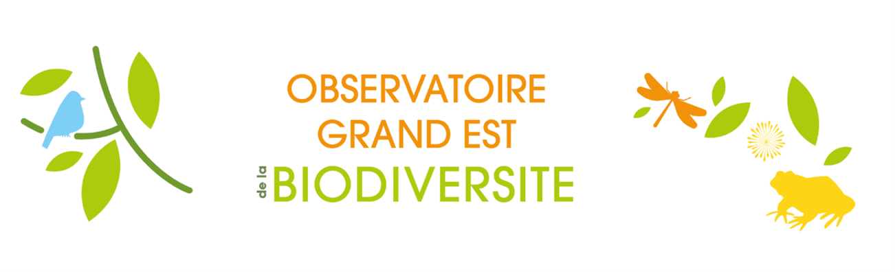 ogeb