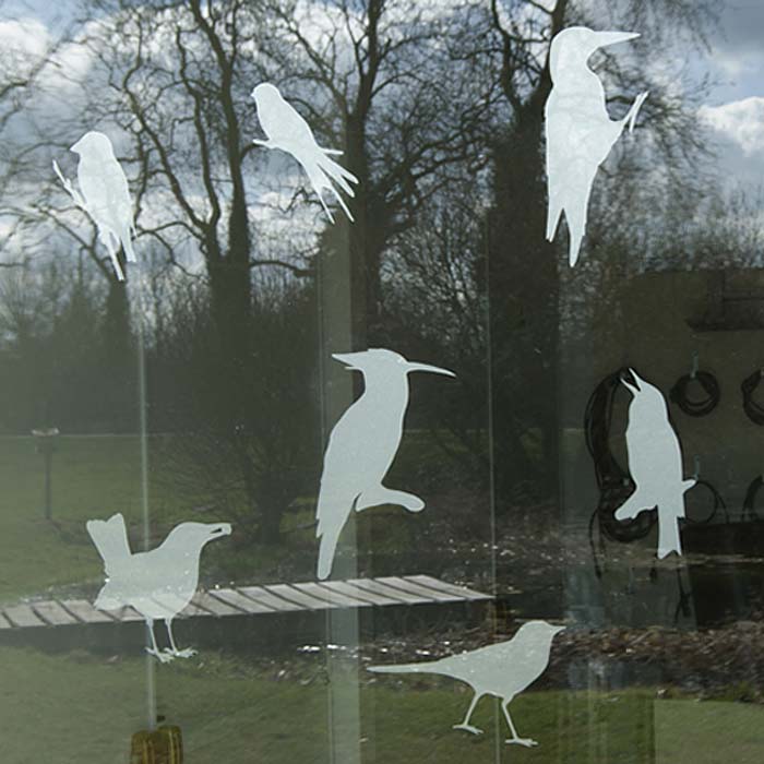 Stickers Oiseaux des jardins
