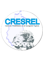 CRESREL (centre de sauvegarde de la faune sauvage)