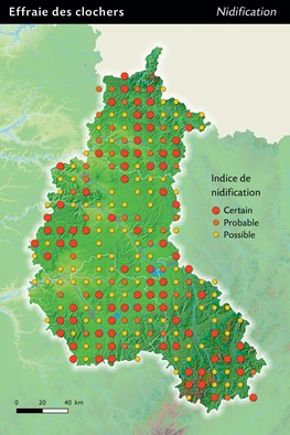 répartition effraie