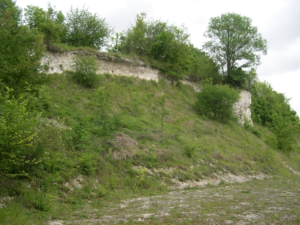 Site du Coteau de la Fontaine (A. Deschatres)