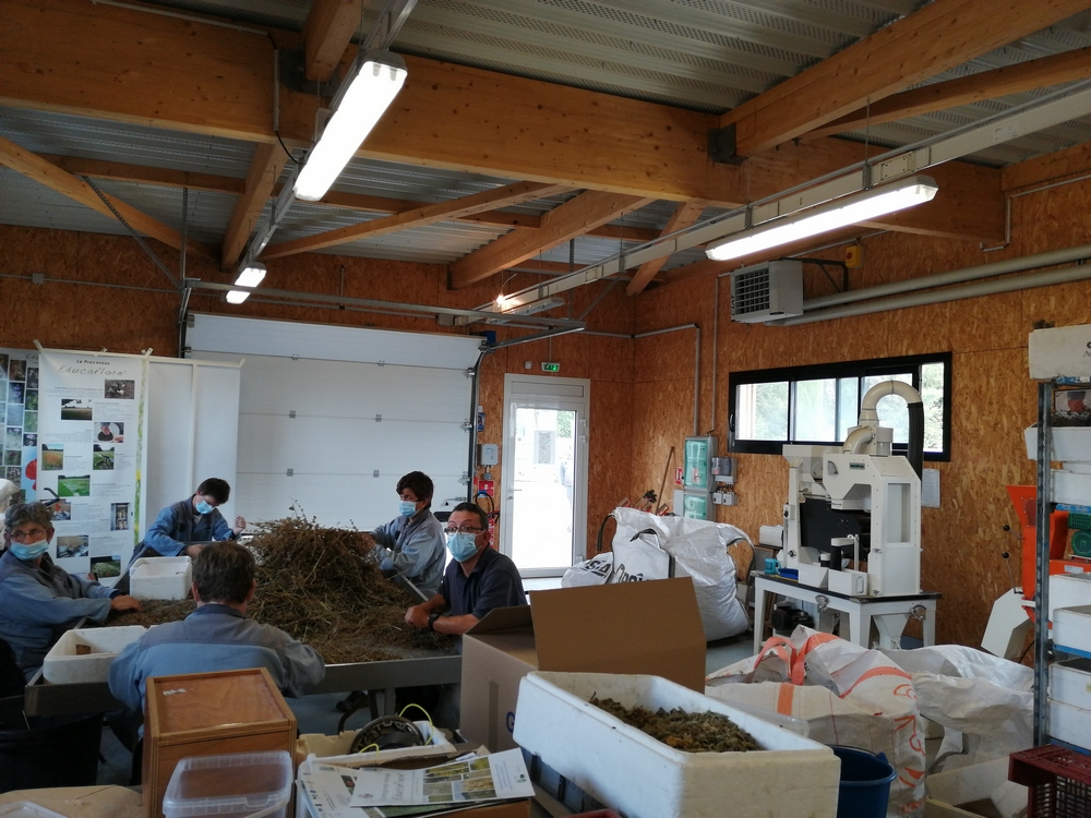 L'atelier de préparation des graines à Rives Dervoises