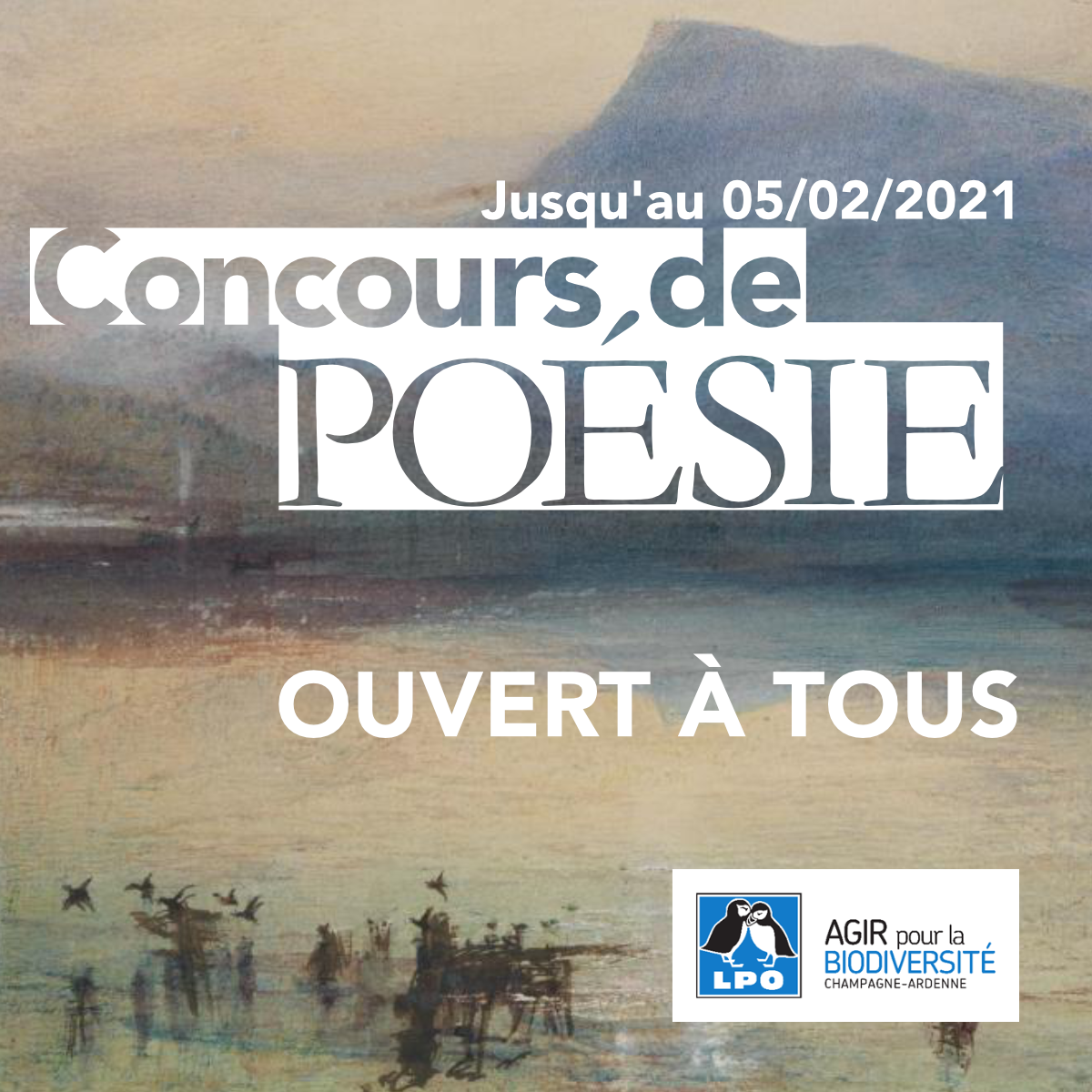 image fb twitter concours poesie