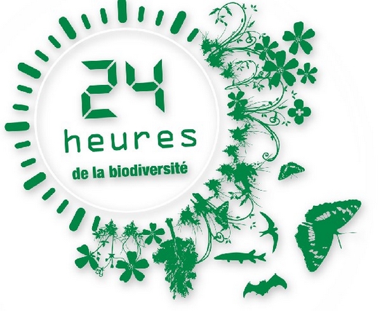 logo 24h biodiversite