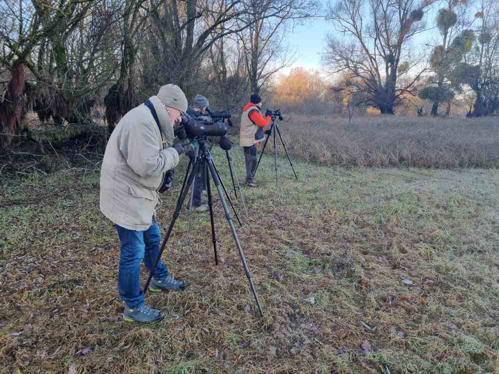 Observateurs comptages foret d'orient