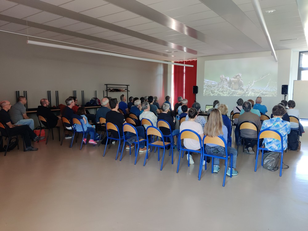 CIné-conférence Balbuzard pêcheur