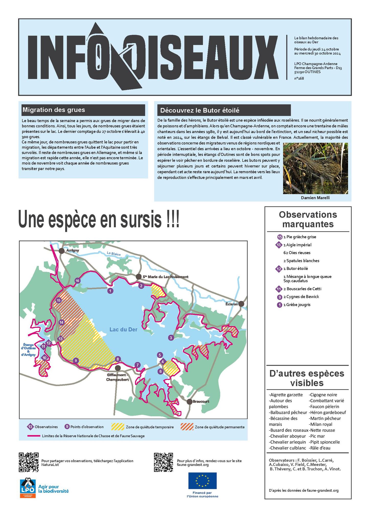 info oiseaux 31/10/24