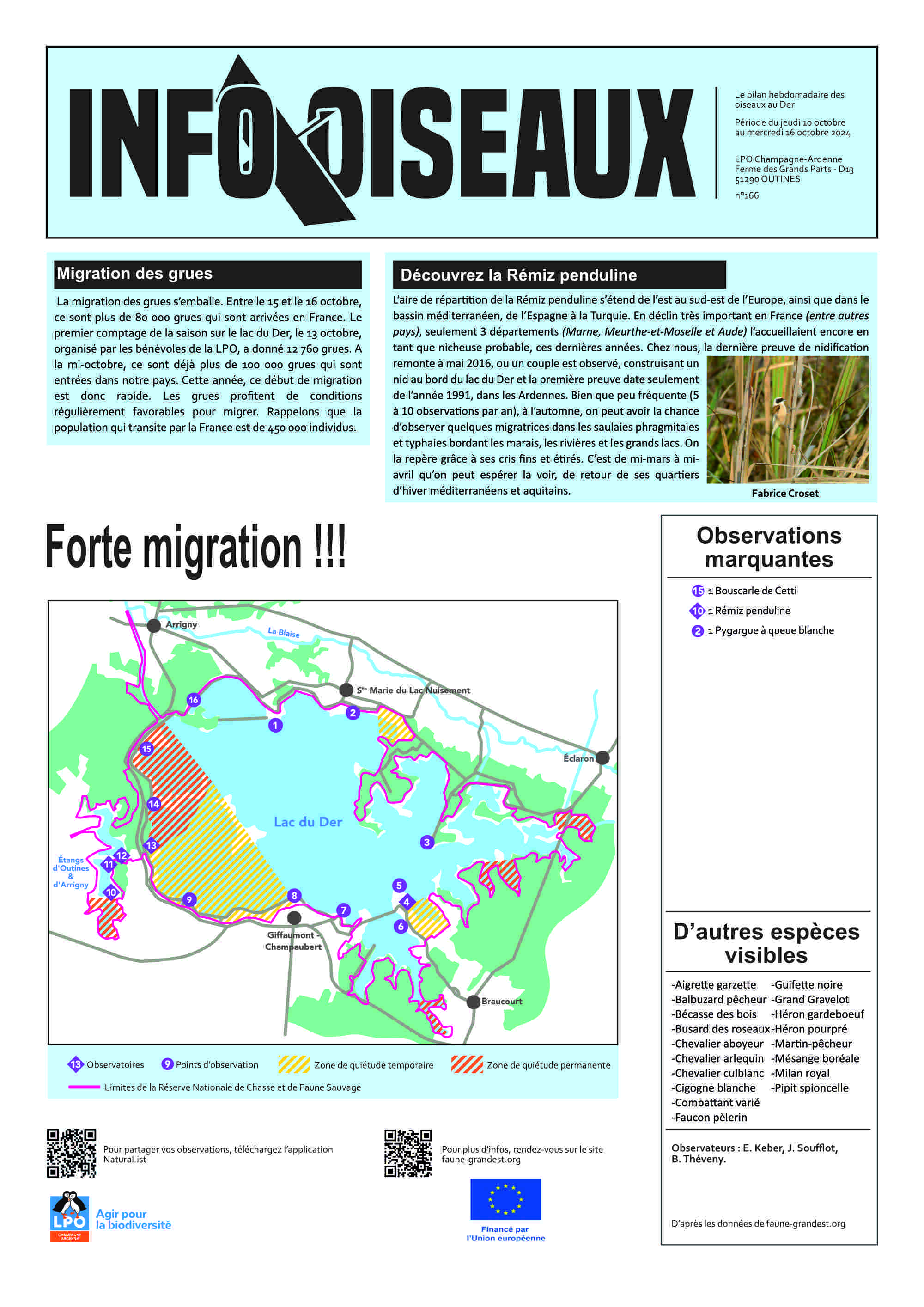 info oiseaux 24 10 09