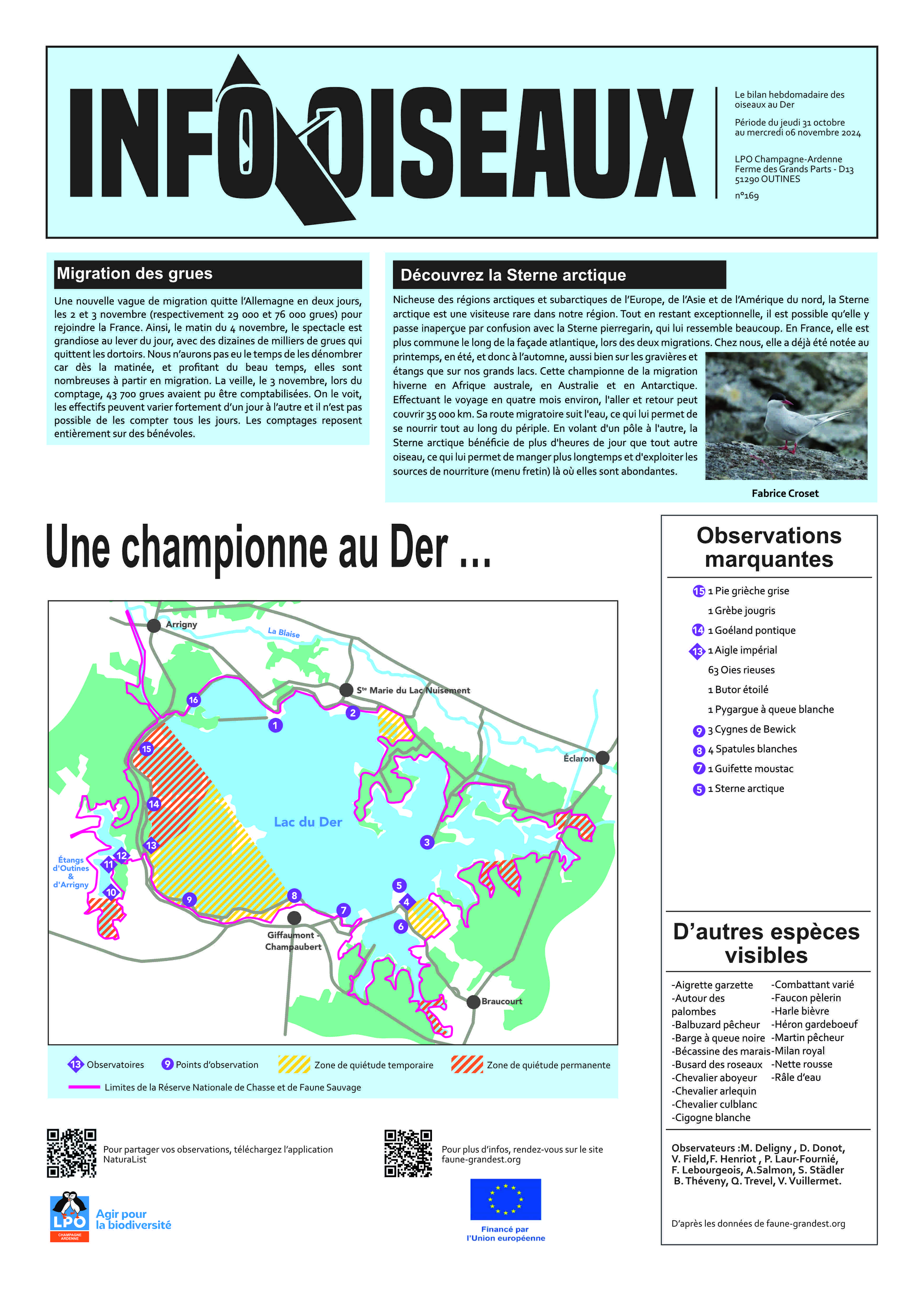 info oiseaux 06/11/2024