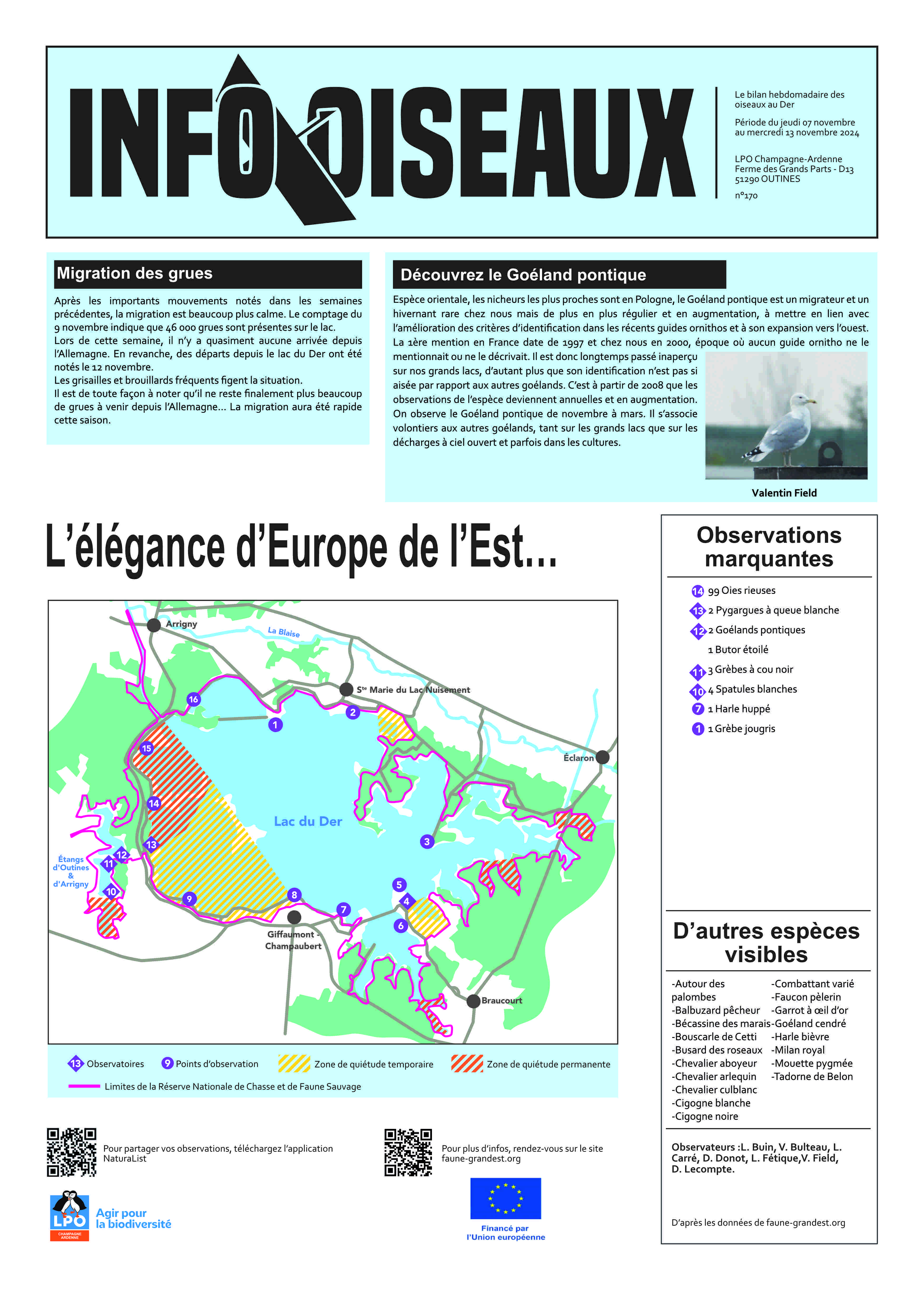 info oiseaux 06/11/2024