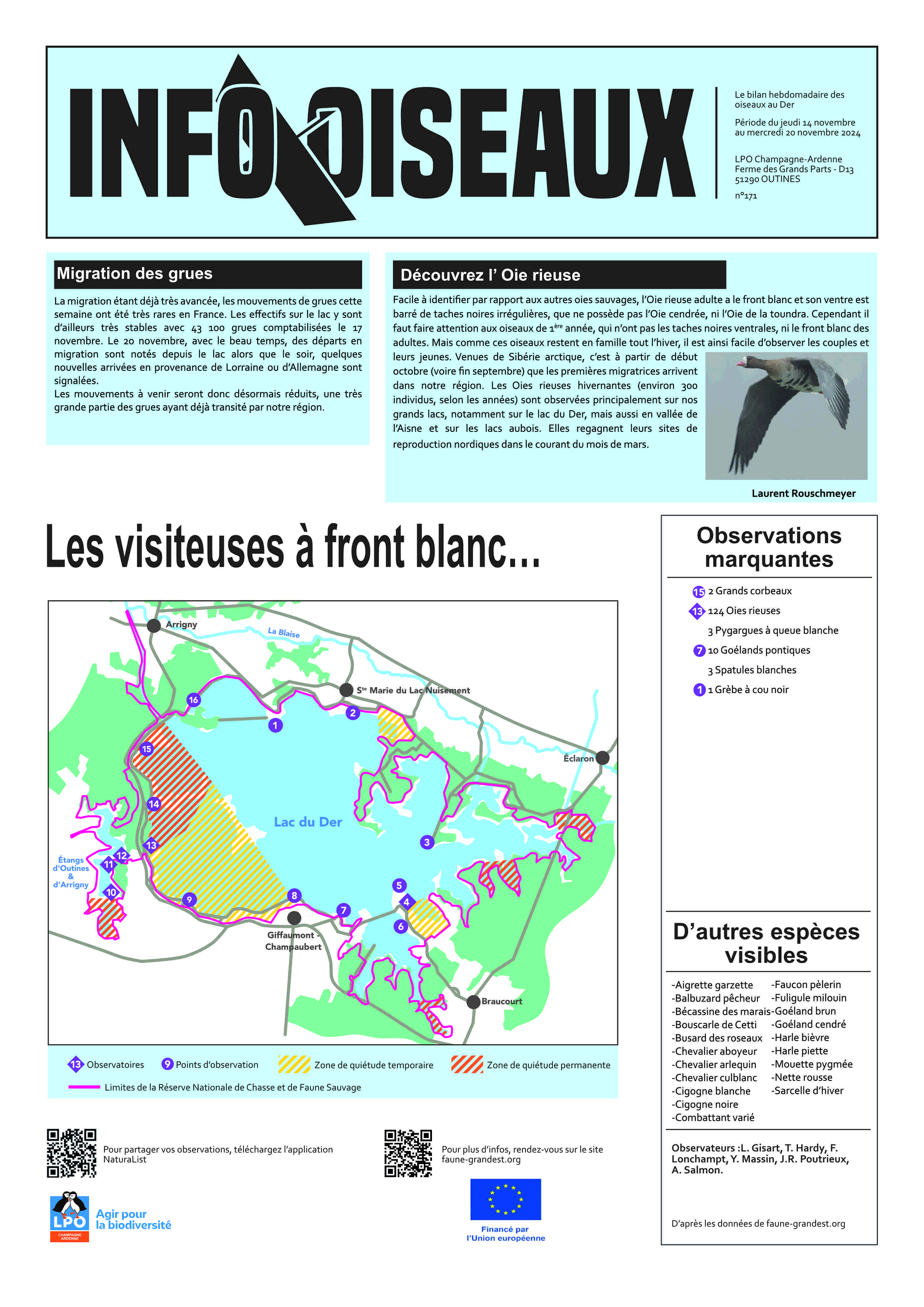 info oiseaux 06/11/2024