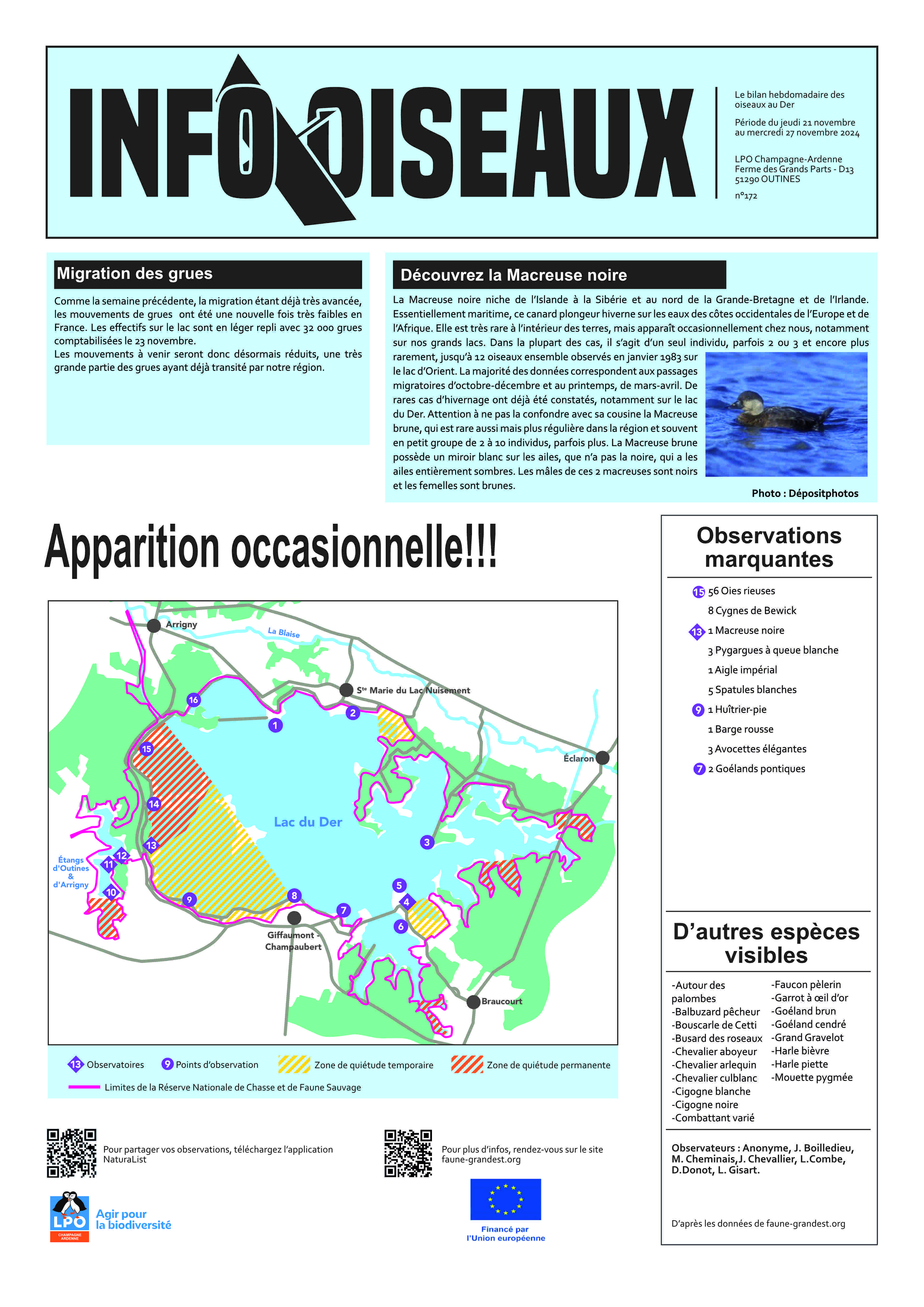 info oiseaux 06/11/2024