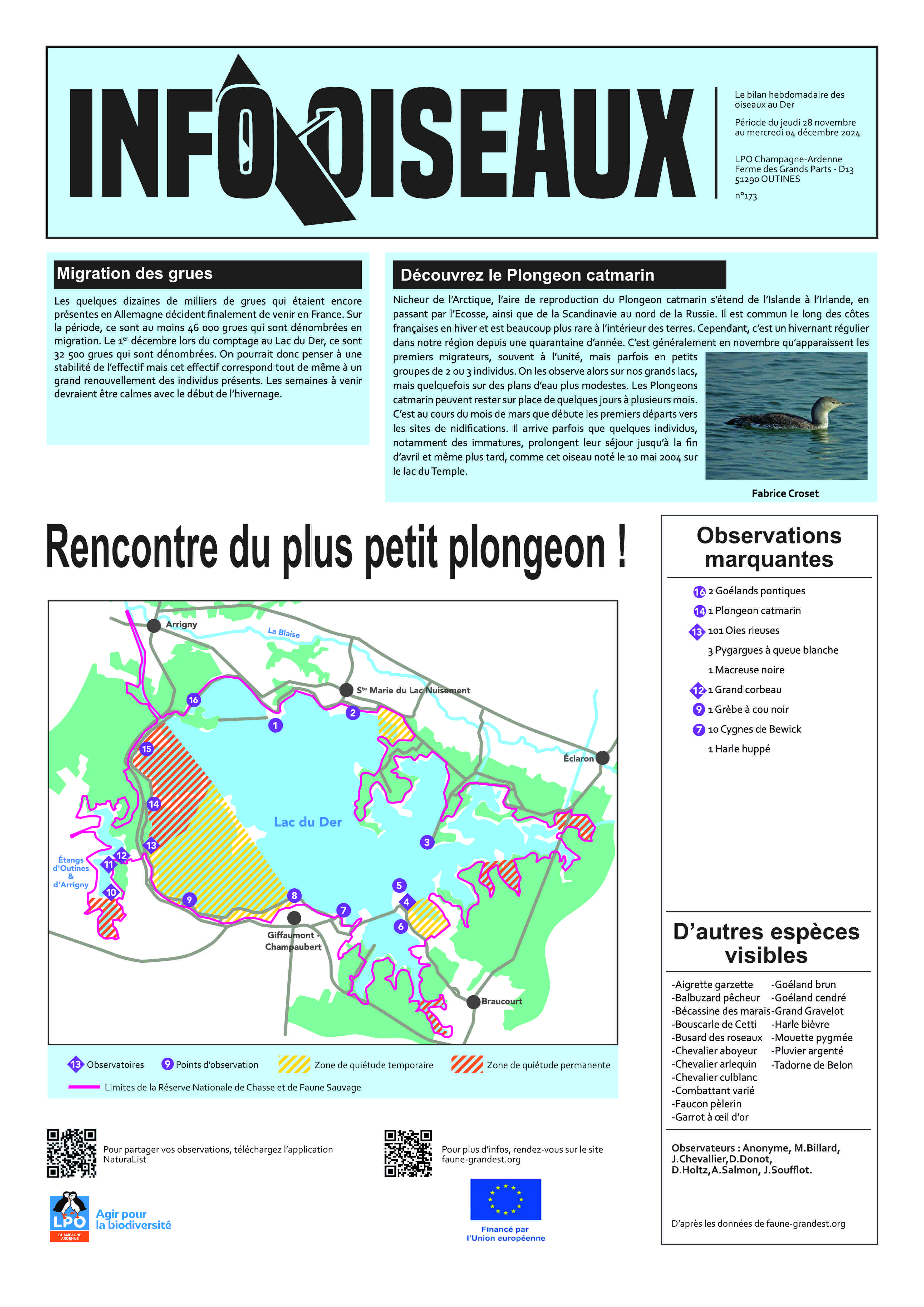 info oiseaux 04/12/2024