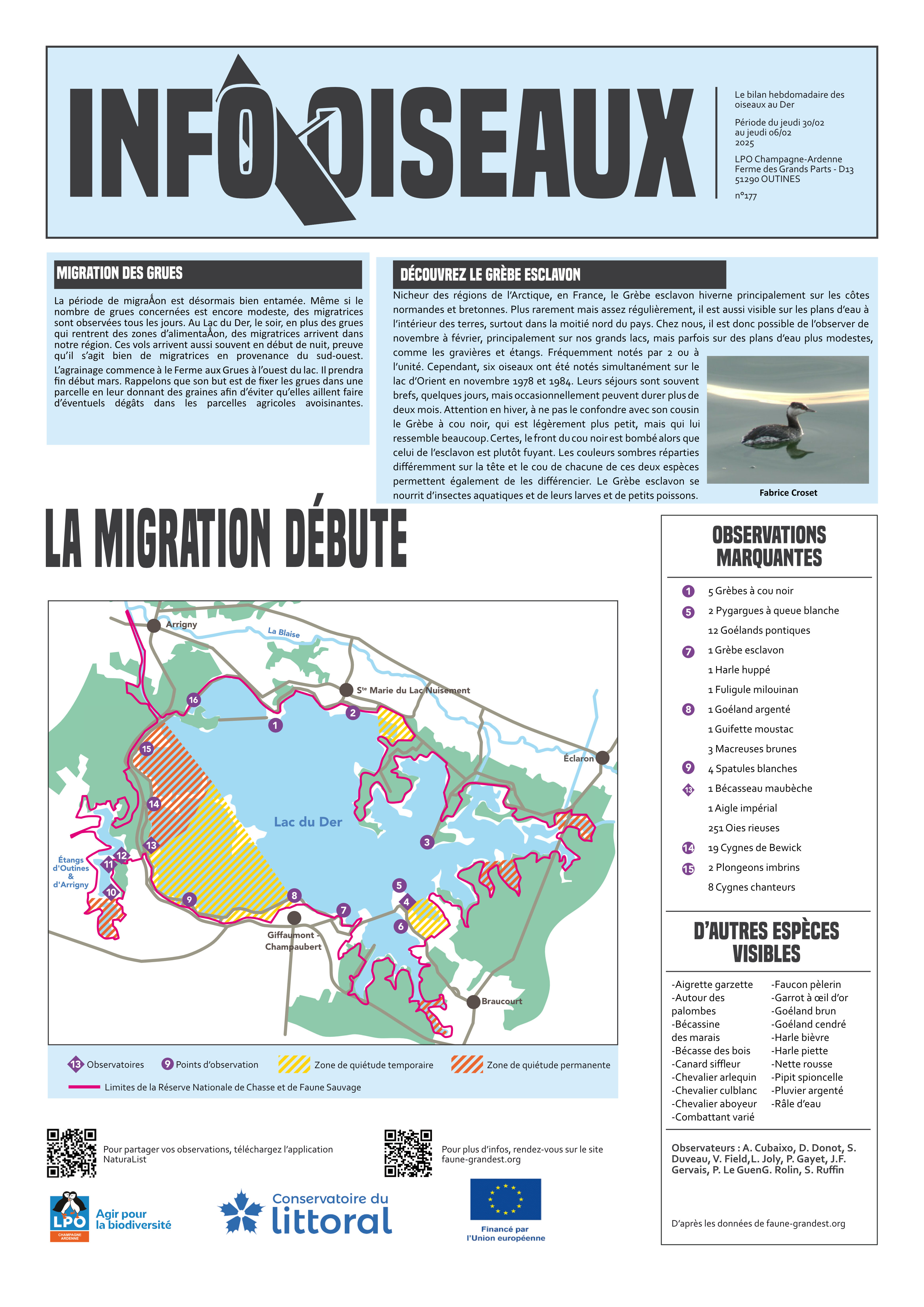 info oiseaux 05/02/2025