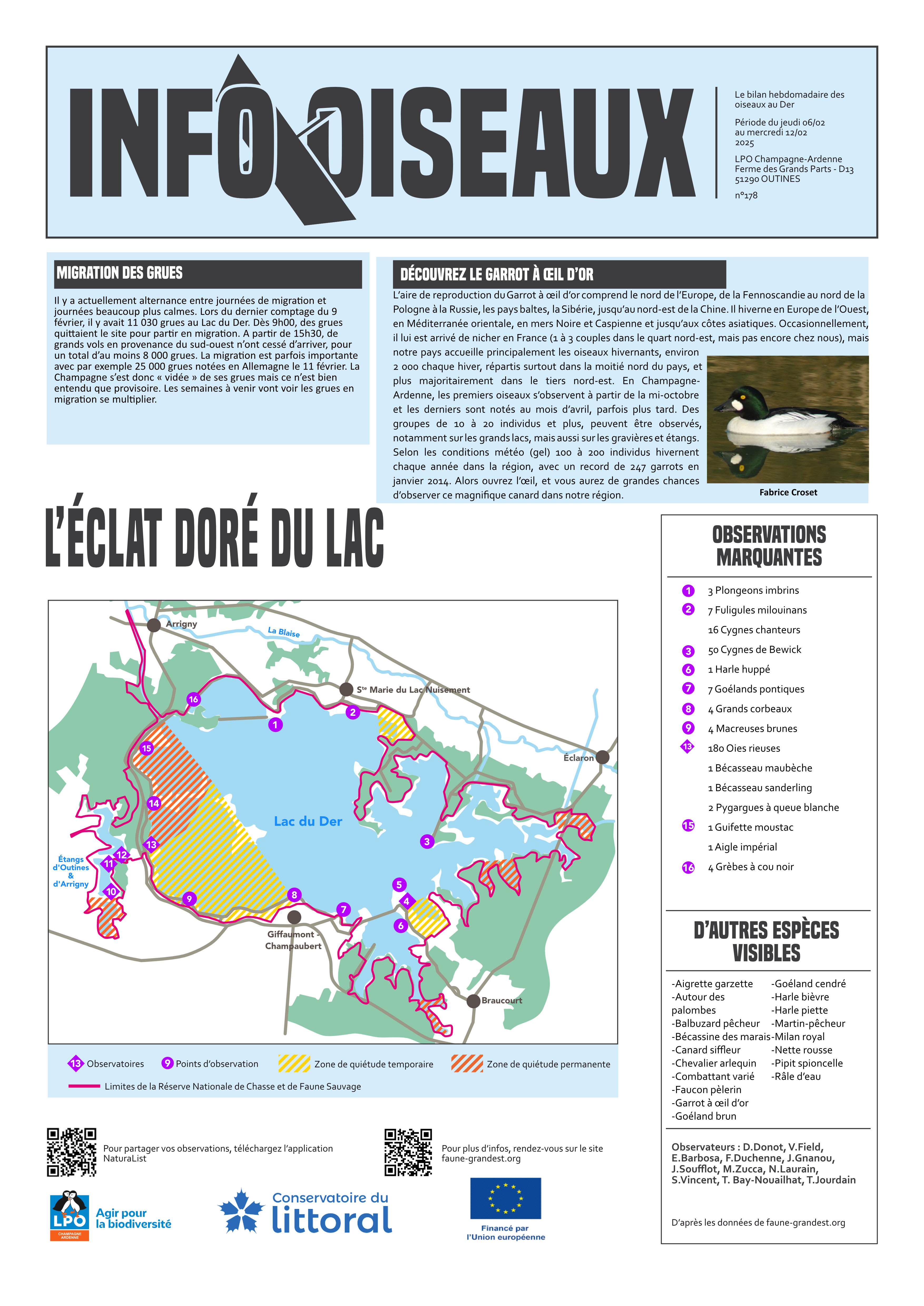 info oiseaux 05/02/2025