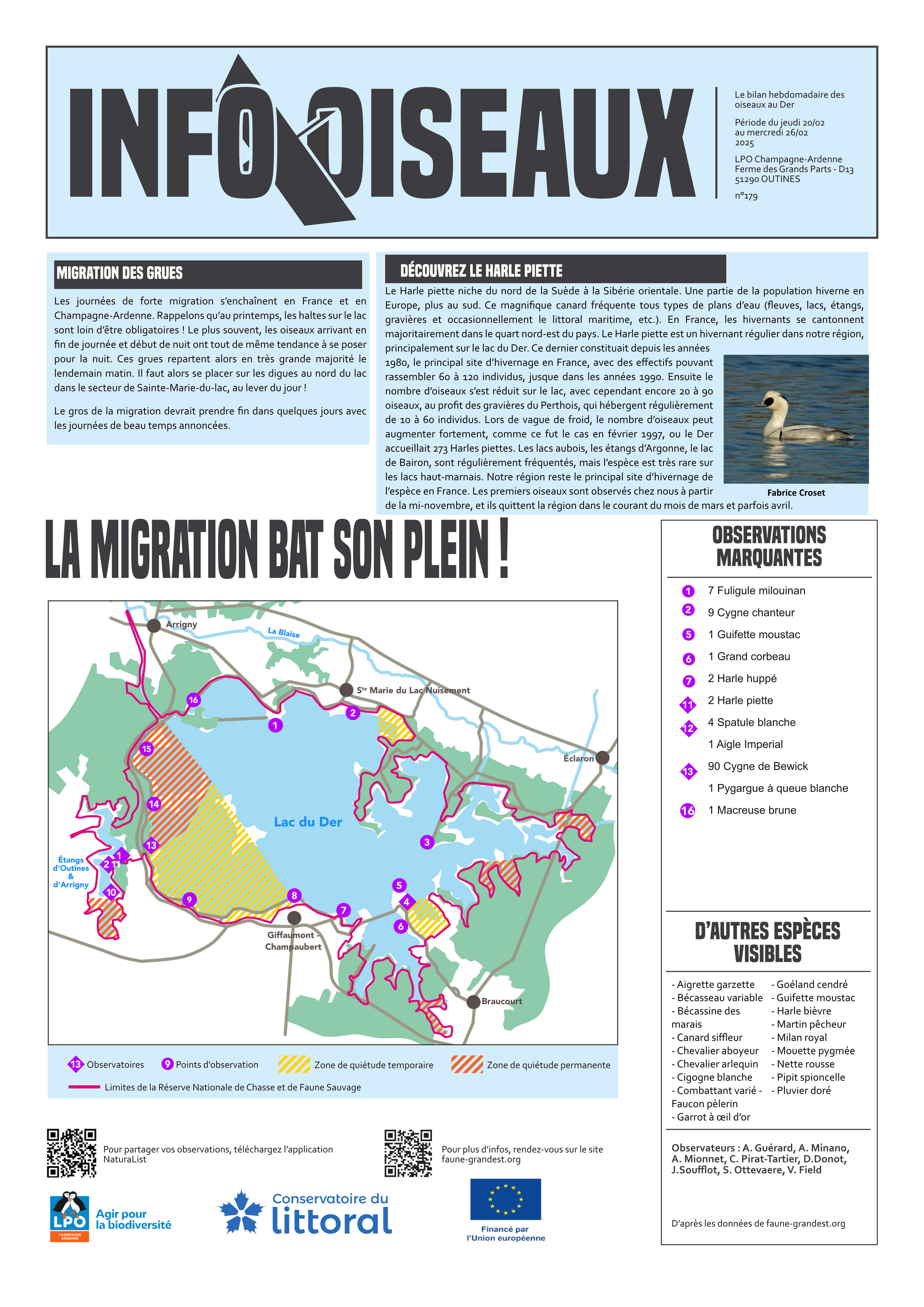 info oiseaux 25 02 26