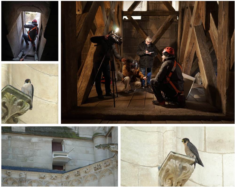 pelerin troyes