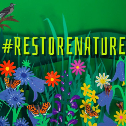 restore nature