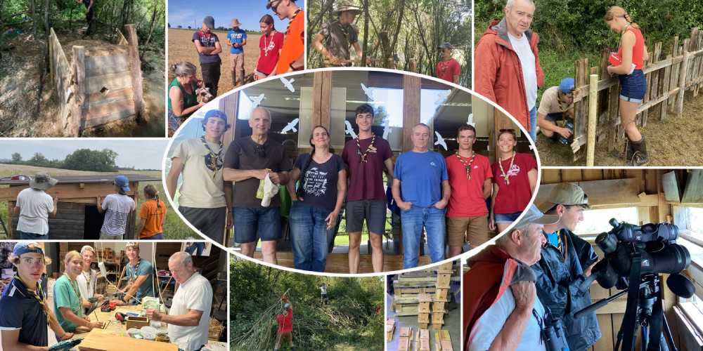 scouts abbeville