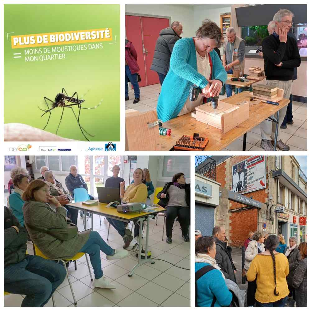 4 photos groupees st dizier