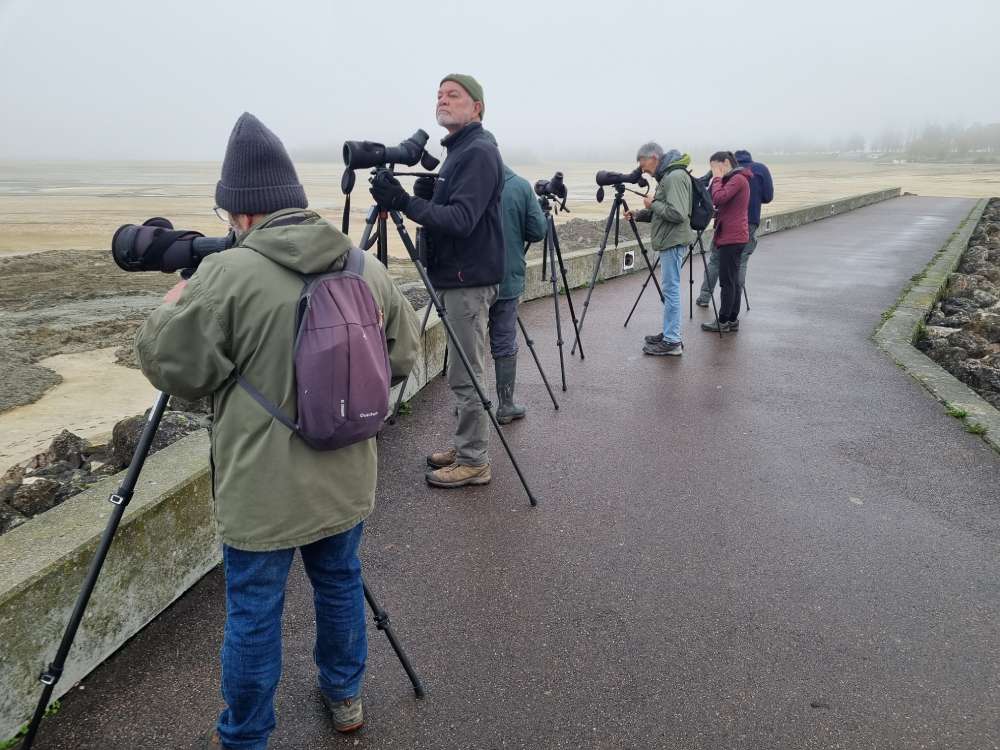 comptage foret dorient 2025