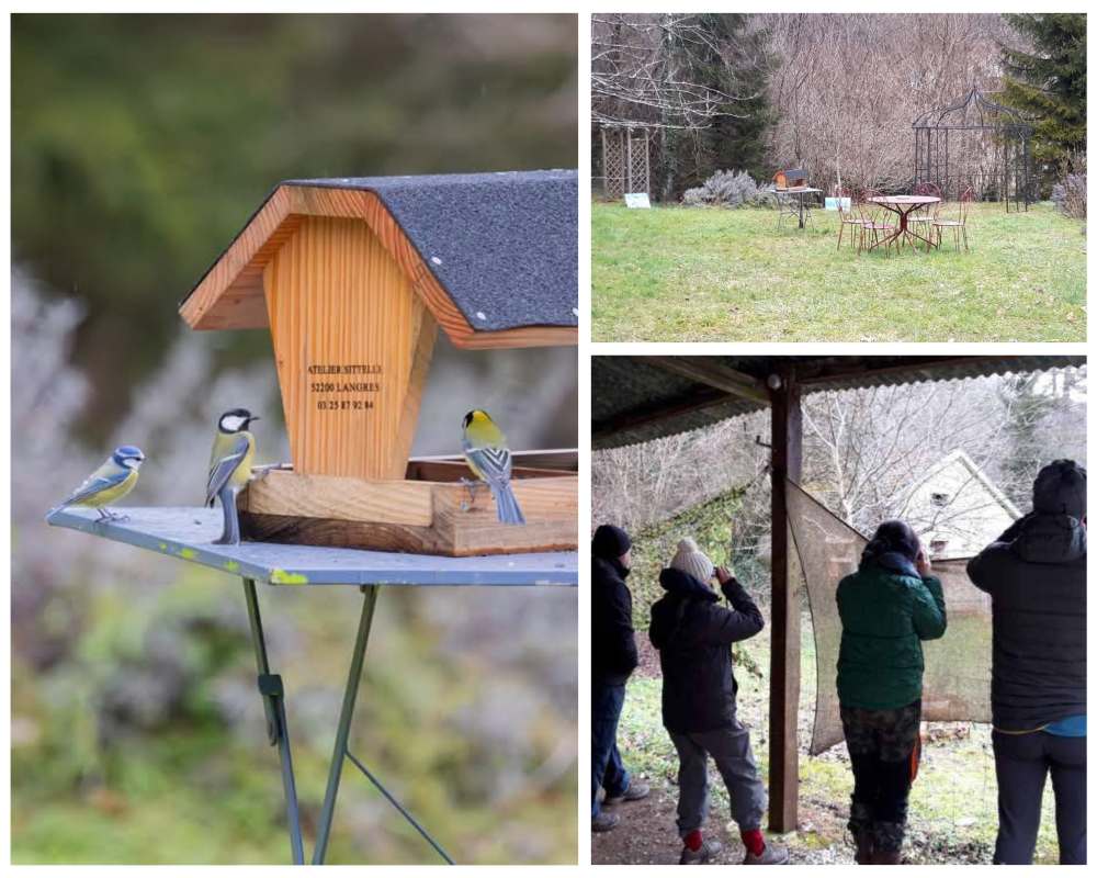 comptage oiseaux gl chaumont langres