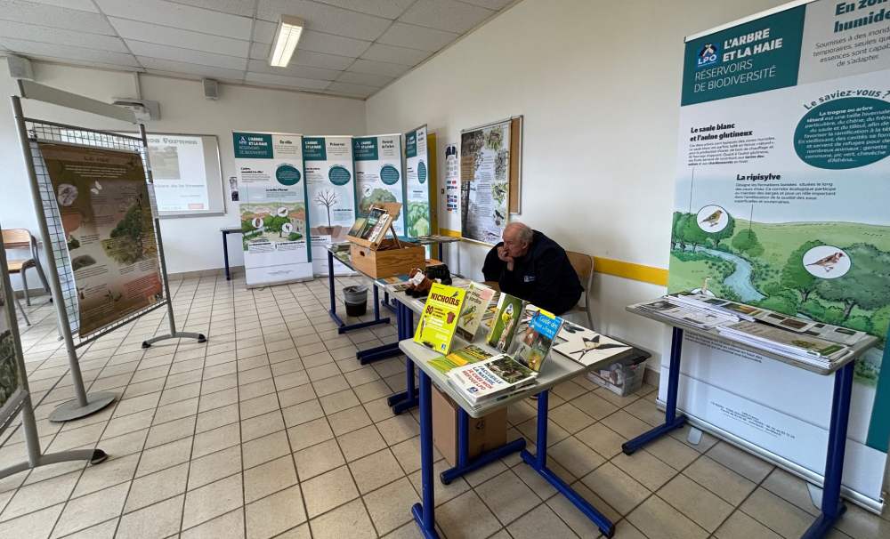 crogny 2025