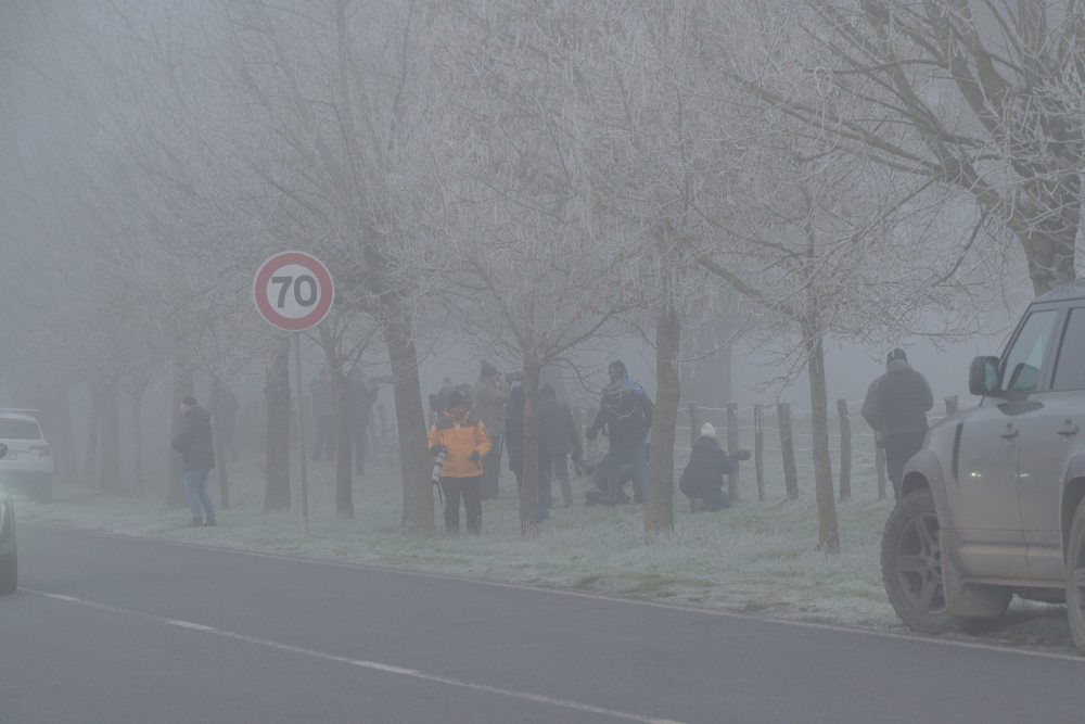 faux tographes grue malade 11.2025 domb