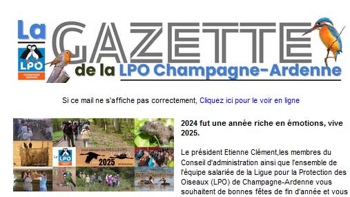 gazette 20