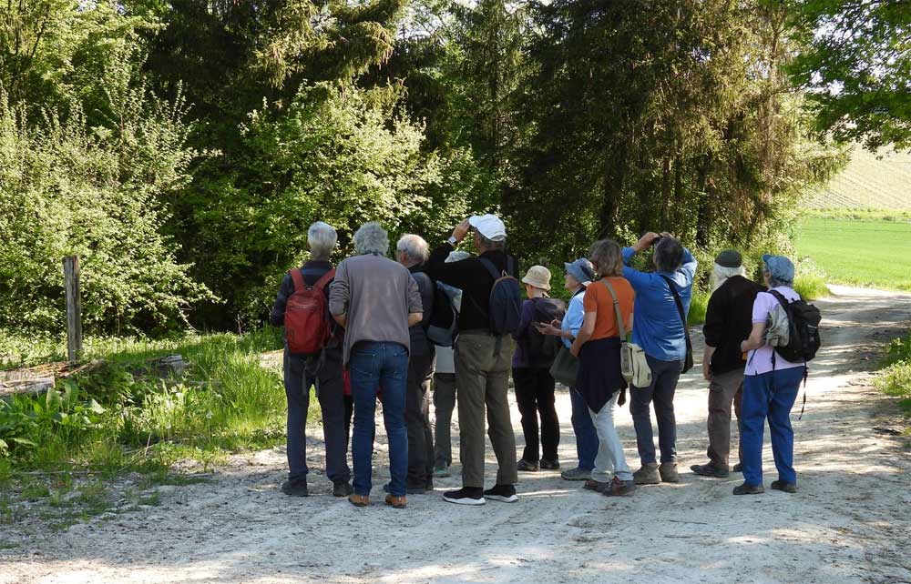Sortie GOSSES à Fontaine sur Ay