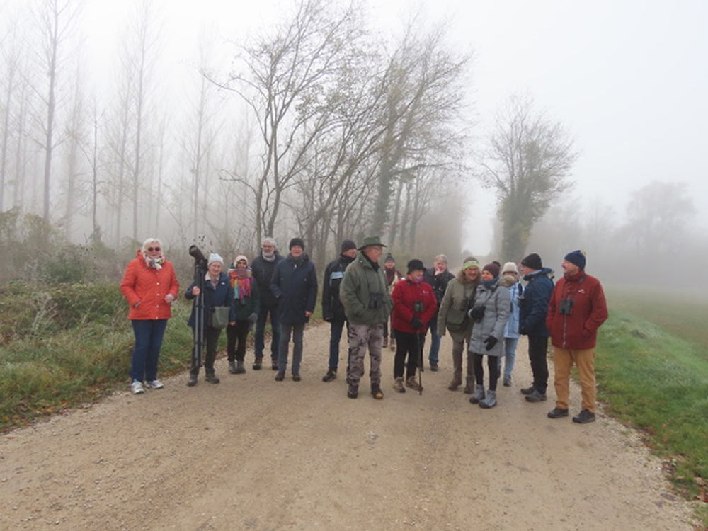 Les GOSSES dans le brouillard